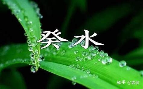 癸水生甲木|癸水与其他十天干的关系